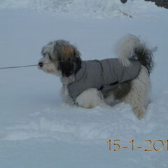 Kijk mijn voorpoten?? haha 15-1-2013