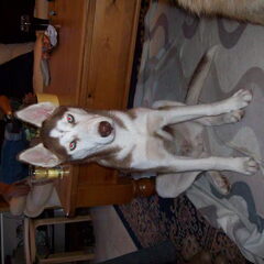 Aiko 5 maanden