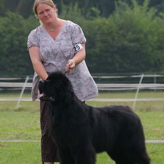 Dit is onze Reu 'Kulta' op show!