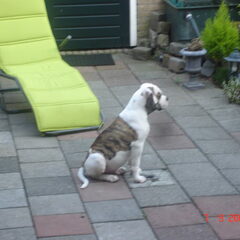 hier D.J 4 maandjes, vind de vijver nogal spannend hahahaha