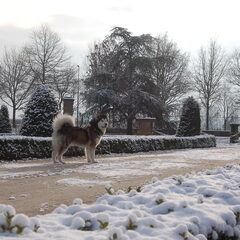 Ons fotomodel :)