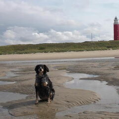Jippie vakantie op TEXEL !!