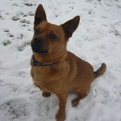 In de sneeuw