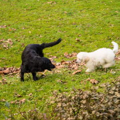 James en Charlie voor de eerste keer spelen!!