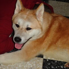 Yuban :)