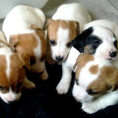 younah samen met haar zusjs 11-2-2013