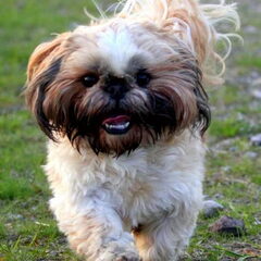 Moos knap he!