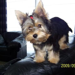 Luca, 4.5 maanden