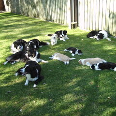 Even relaxen op het gras.