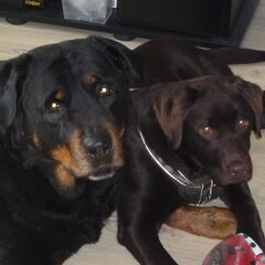 Cacao met haar tante Samba :)