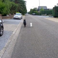 Op , richting het bos