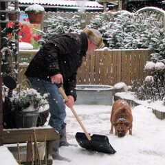 Spelen met sneeuw