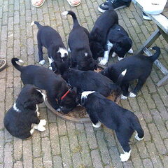 Met heel de Fam. eten!