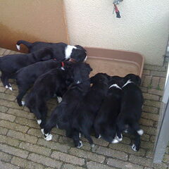 ~Daarna natuurlijk wat drinken!