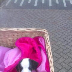 1e keer mee op de fiets