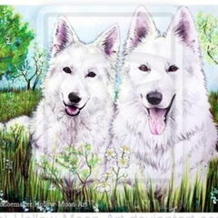 2 witte herders, de ouders van mijn herder getekent op…