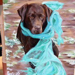 Labrador portret 70x90