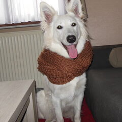 cold days!