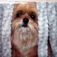 Fleurtje 1998-2012