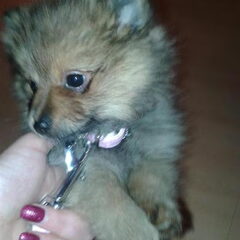 2maandjes