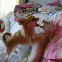 Playtime!