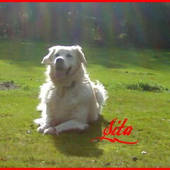 Sita