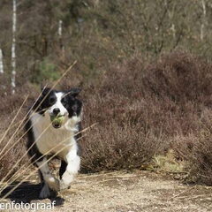 rennend met de bal..