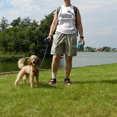 jacy in overmere met san