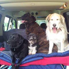 Belle, Didi, Qudy en Lucky! Weer een gezellig uitstapje met…
