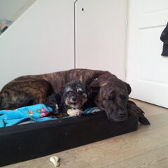 Didi en Qudy mijn moppenkindjes!
