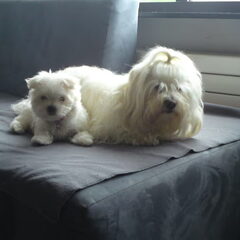Sammy samen met haar nieuwe zusje Indy