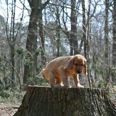 Mmmmmmmm, ziet er hoog uit.