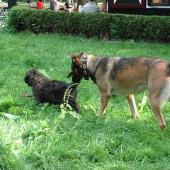 Merel wijst graag de weg:-)