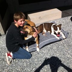 Ramon (12) met onze lieffies