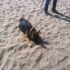 Eerste keer strand