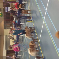 Clubmatch. open klasse teef 2de plaats.