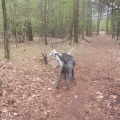 overleg wat gaan we doen?