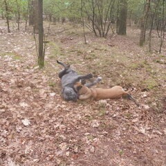 is dit een kill??