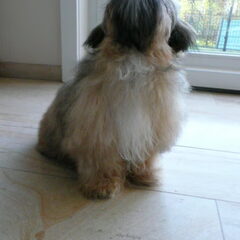 Lilly wil lekkers