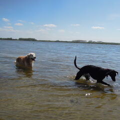 zeewolde strand