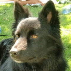 Maggie