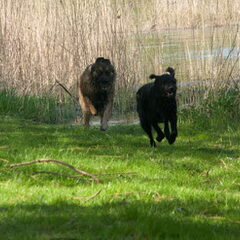 HP wandeling Bernisse