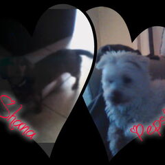 Shana & Pepsi