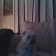 Wat doe jij nou weer? :o