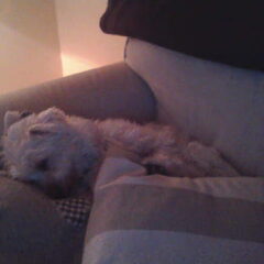 Zo erg moe ... ZzzzZzz...