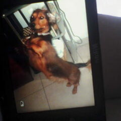 Even 'Le beau' doen voor de foto :)