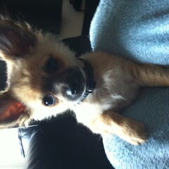 Mijn lieve schat