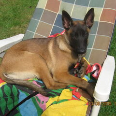 relaxen op de camping...