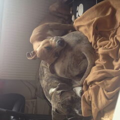Diva en Baya samen slapen