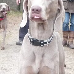 Zoë maakt duidelijk dat ze niet graag op de foto wil.lol